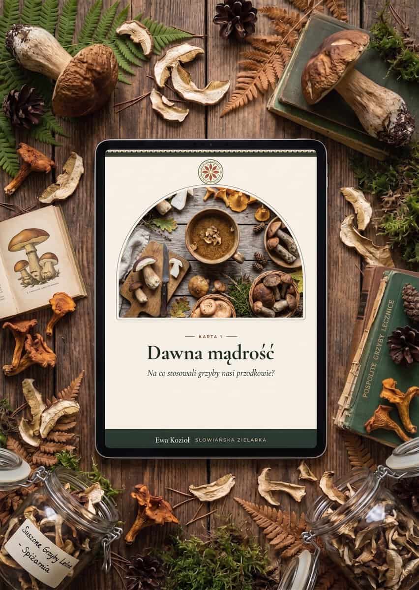 Mockup bonusu Dawna mądrość wyświetlonego na tablecie