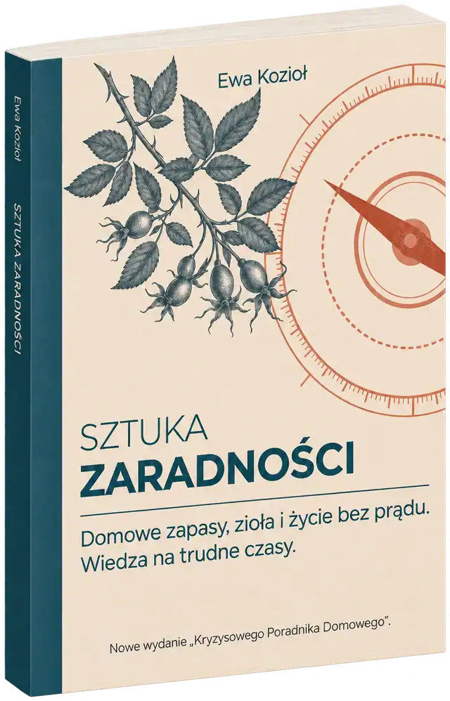Sztuka zaradności — książka Ewy Kozioł, wydanie 2026
