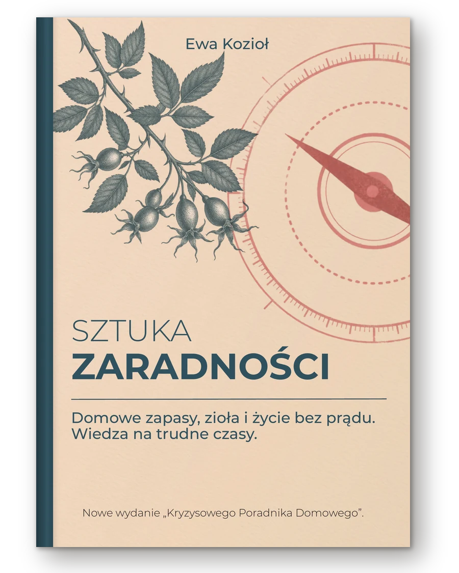 Sztuka zaradności, książka Ewy Kozioł – okładka