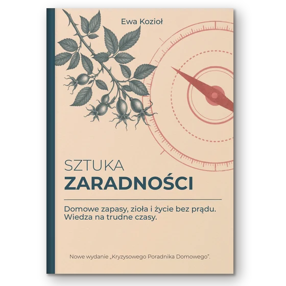 Sztuka zaradności, książka Ewy Kozioł